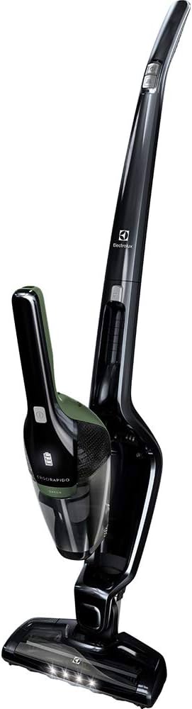 Recensione completa Aspirapolvere Electrolux EER7GREEN
