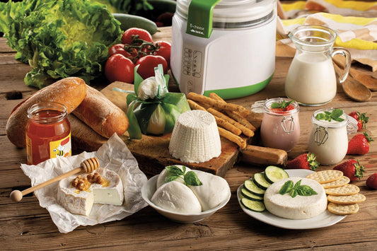 Macchina per Formaggio e Yogurt Ariete: Guida Completa all'Uso, Manutenzione e Ricambi