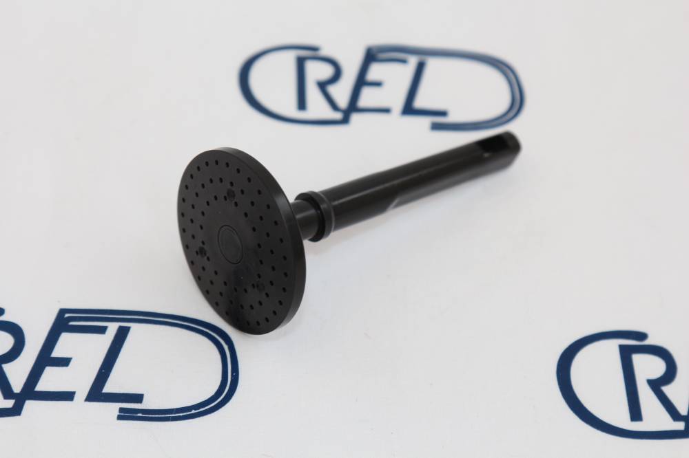 Assieme Pistone Gruppo Macchina Da Caffè Saeco Gaggia