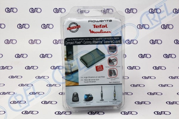 Filtro Hepa Aspirapolvere Rowenta Compact Power