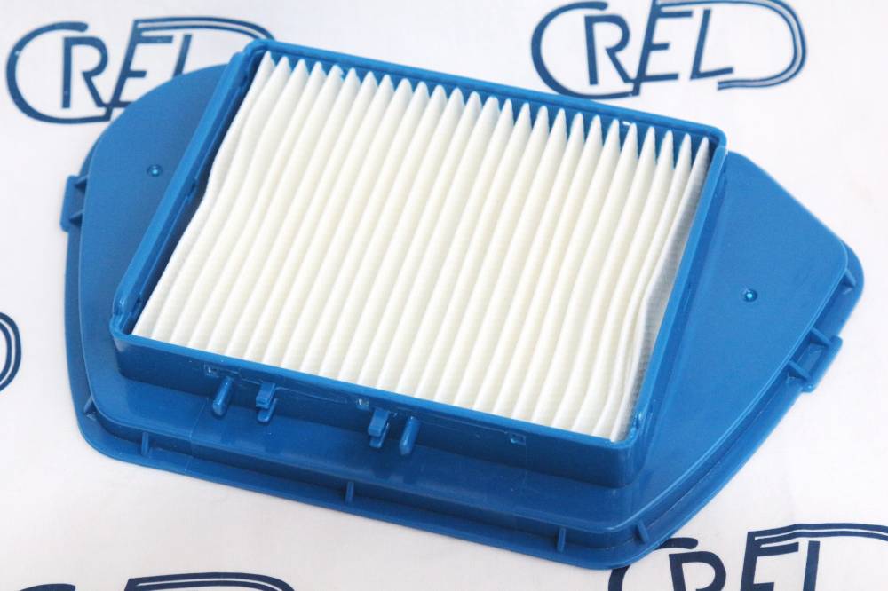 Filtro Hepa Aspirapolvere Rowenta Compacteo