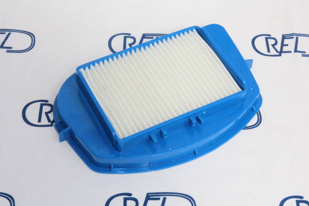 Filtro Hepa Aspirapolvere Rowenta City Space