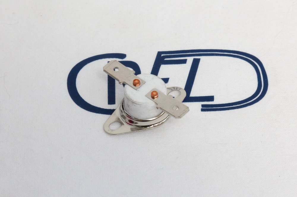 Termostato Caldaia Vaporizzatore Ariete Steam Mop