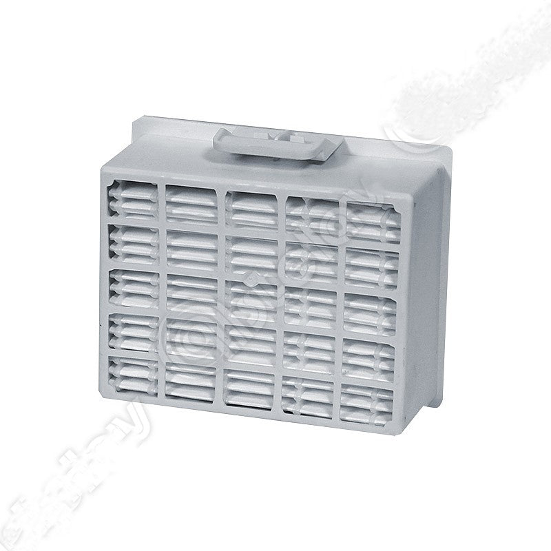 Filtro Hepa Rettangolare Aspirapolvere Bosch 00802414