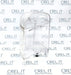 Serbatoio Macchina A Capsule Electrolux Elm6100 Usato