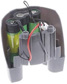 Pacco Batterie Aspirabriciole Rowenta Cleanette Air Force –